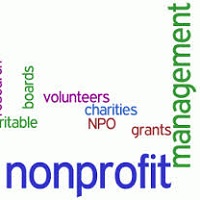non-profit management challenges
